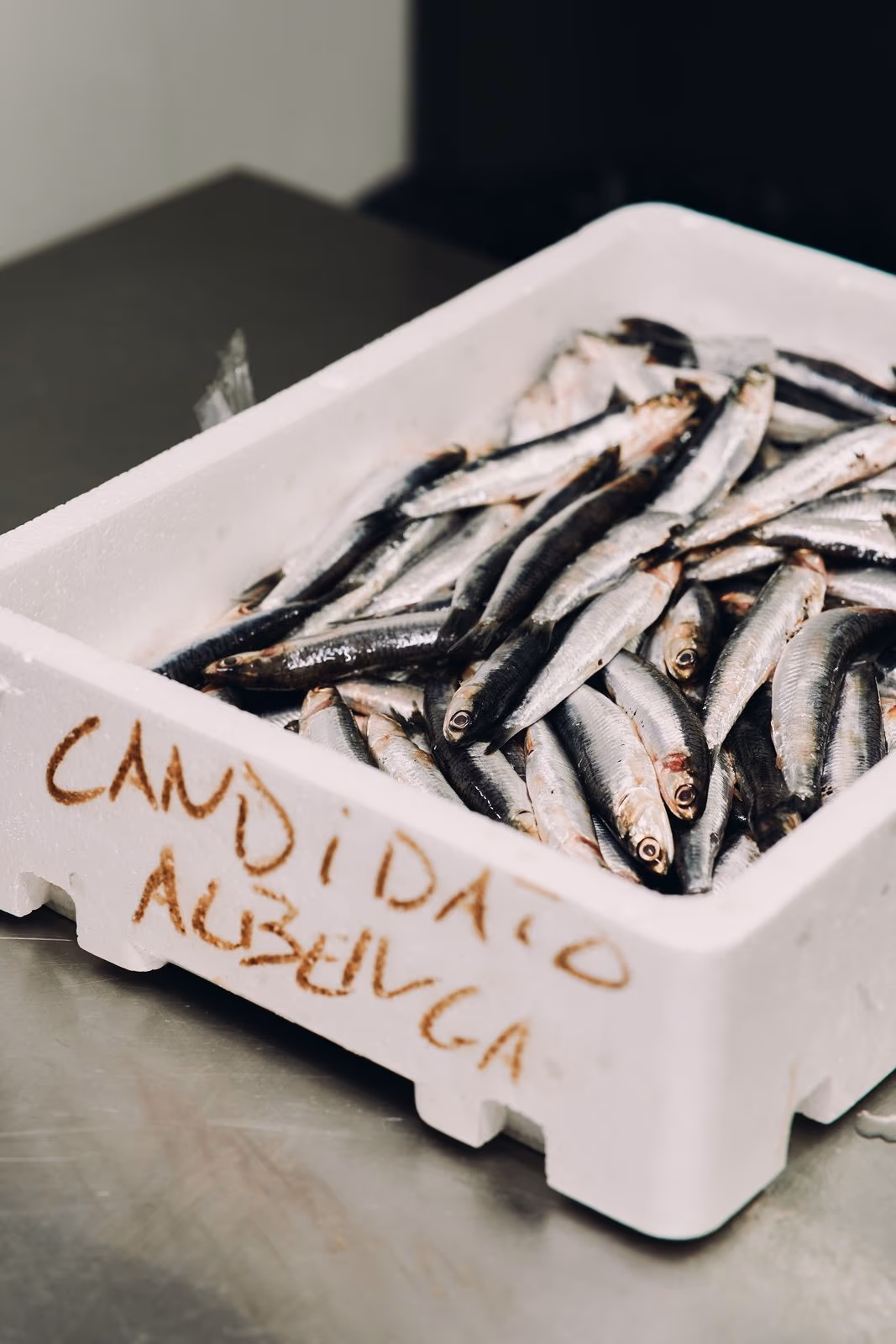 Osteria Il Candidato, Albenga, photograph 12 by Davide Aicardi
